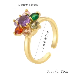 Anillo Giratorio - Imagen 2