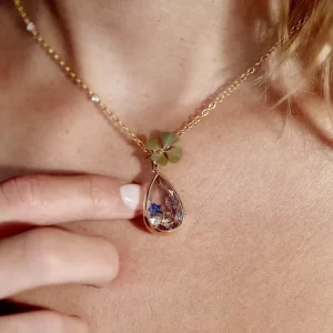 Collar Portadijes II - Imagen 2