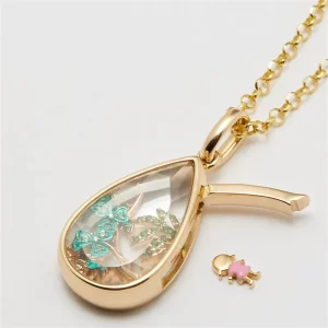 Collar Portadijes II - Imagen 1